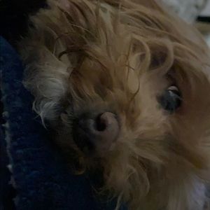 Meet your Posher, Mary